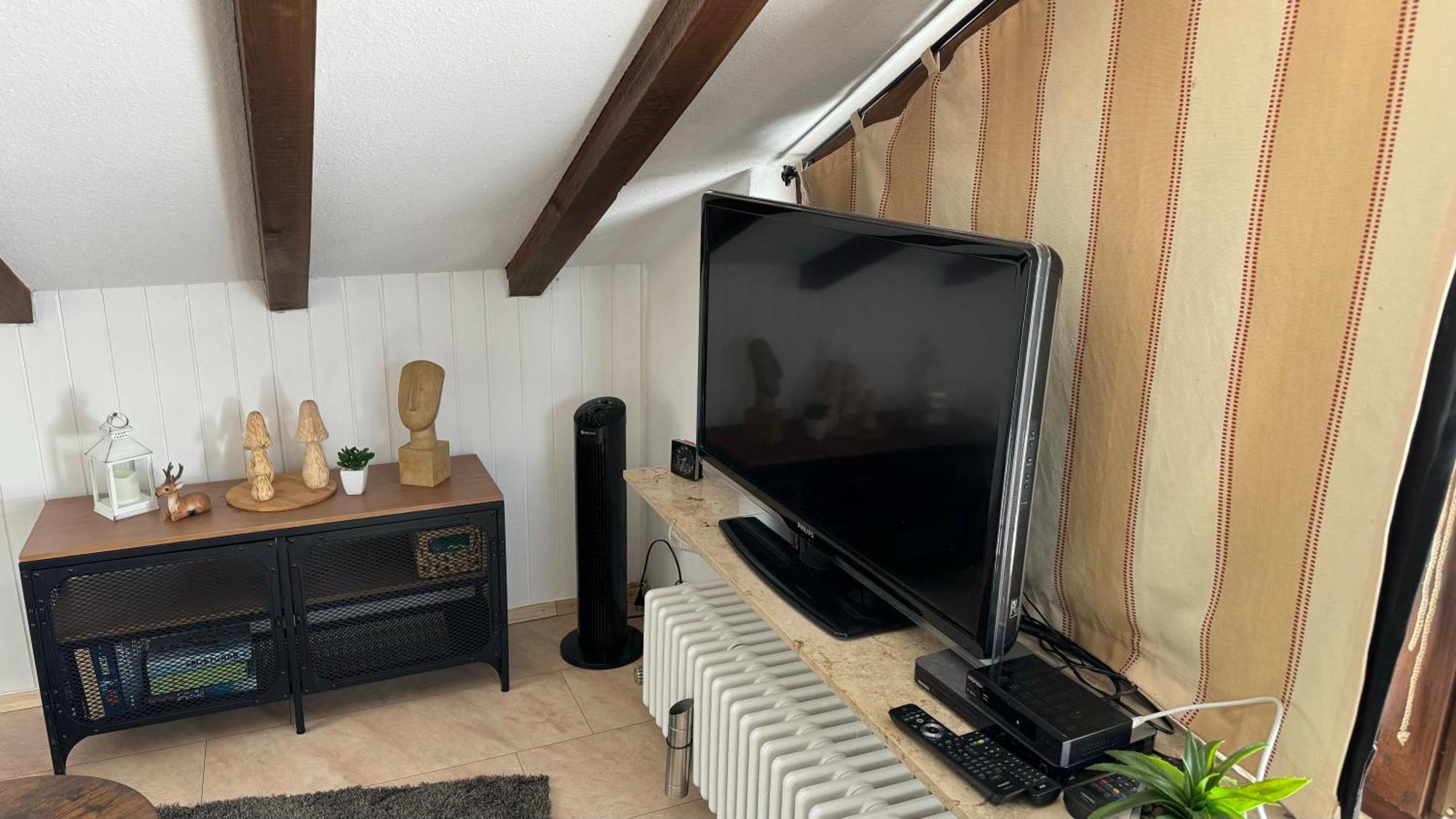 Apartment Urlaub Im Schwarzwald Lenzkirch